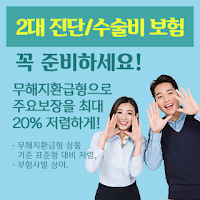 큰 돈 드는 뇌, 심장(2대질환)에 대하여 진단비 및 꼭 필요한 수술비 보장