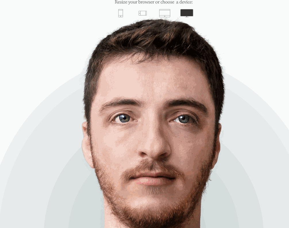 giphy.gif