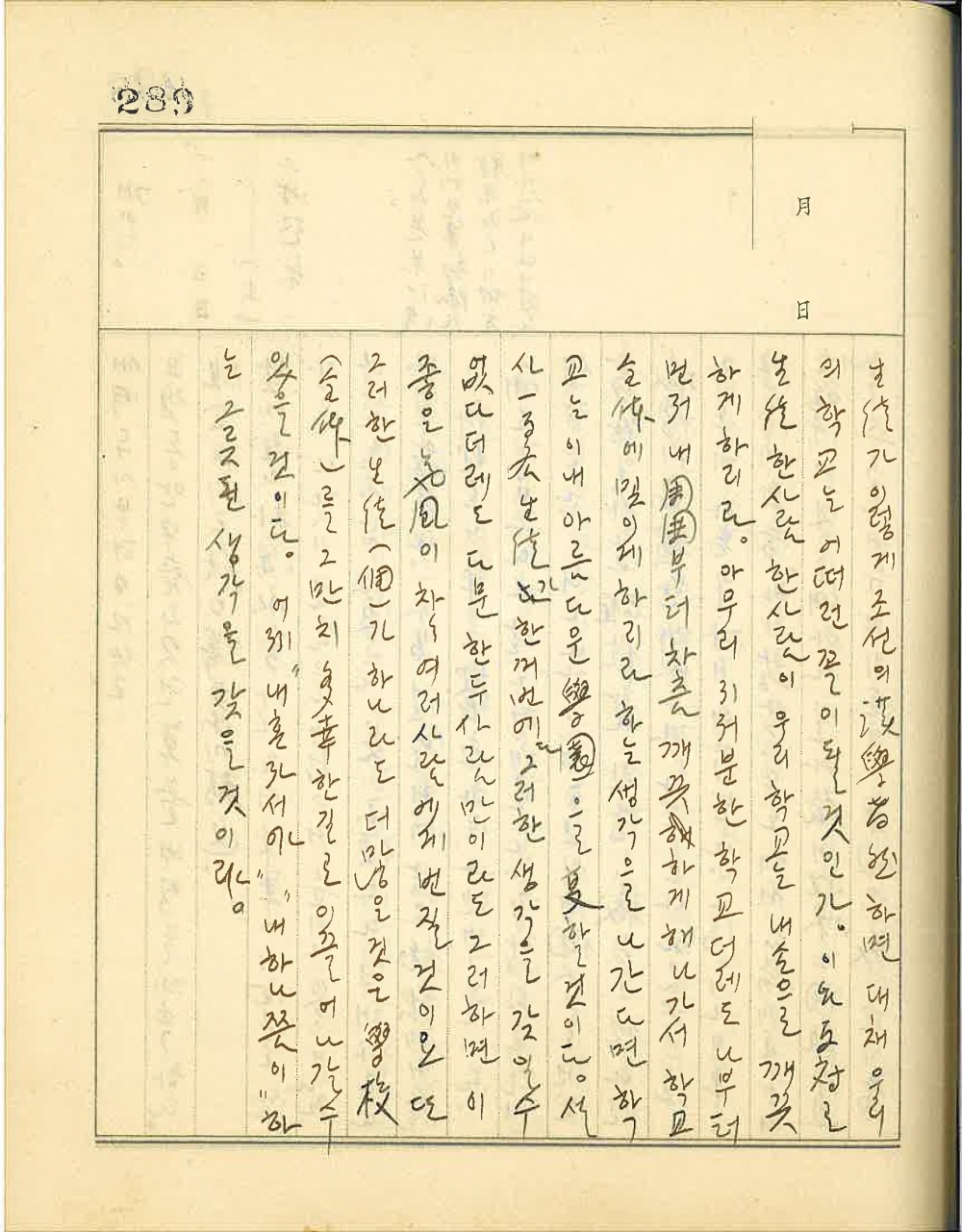 17462207884817.jpg