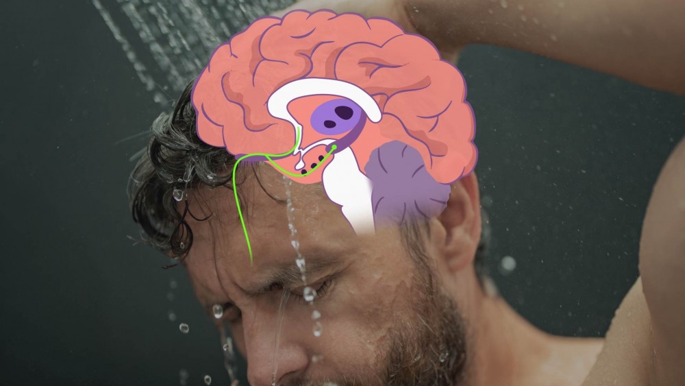 17503248133656.jpg