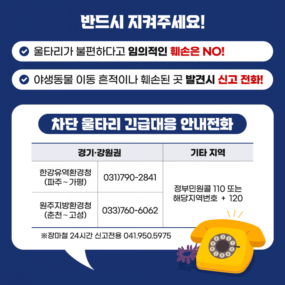 16264233340035.png