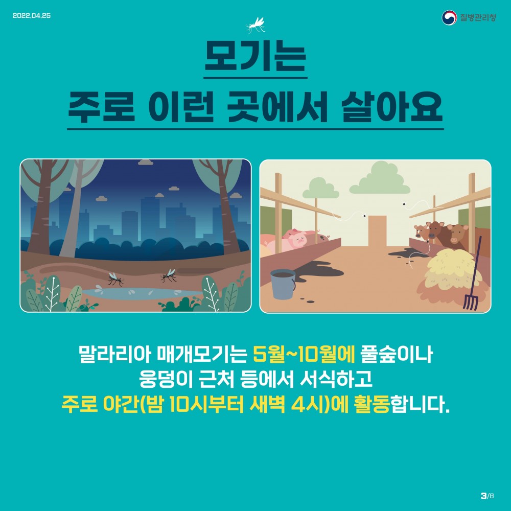 16558579001605.jpg