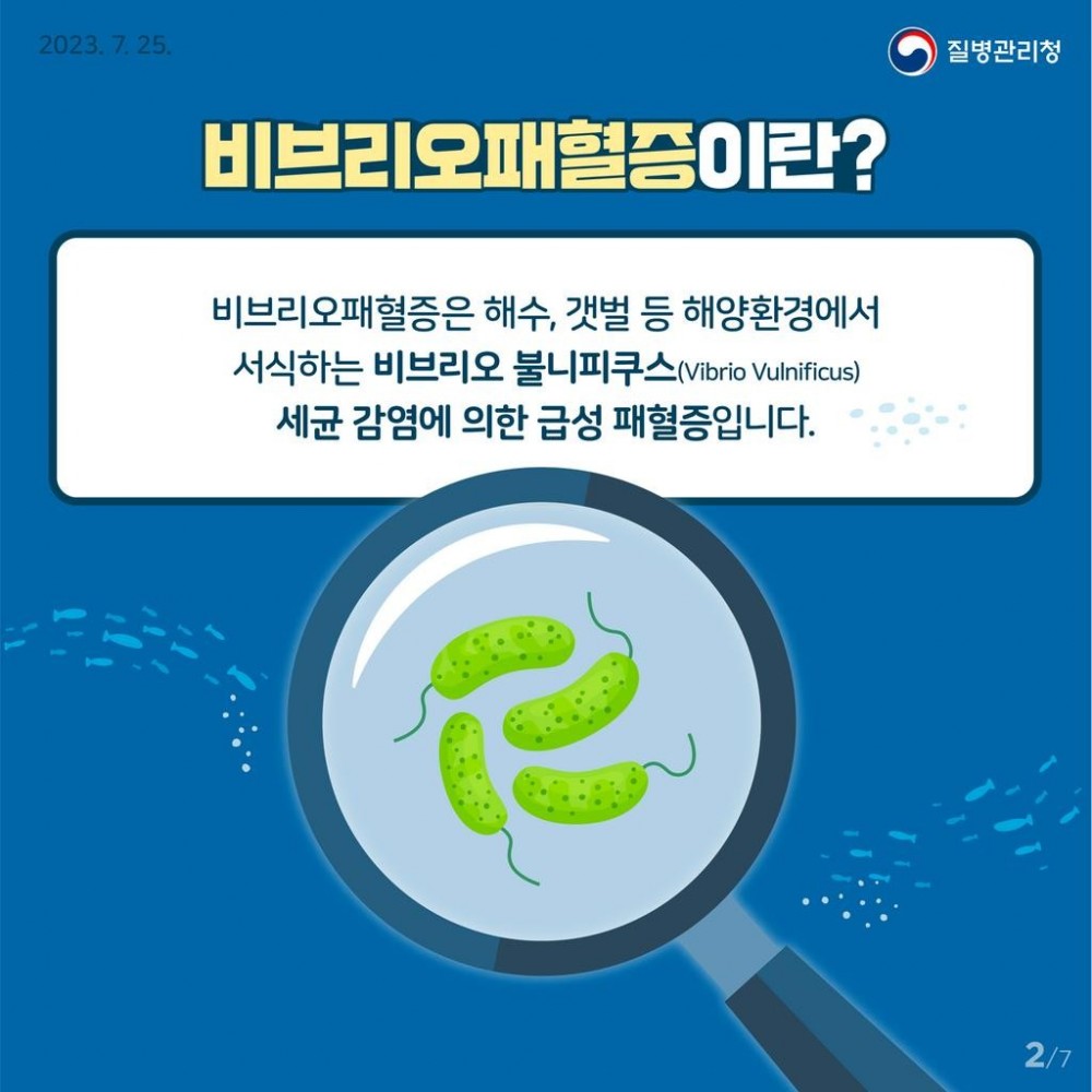 17207644045285.jpg